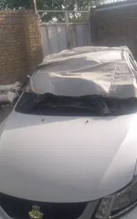 ساینا
