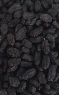 مویز