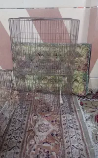 قفس پرنده