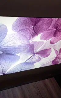 مجری انواع سقف های کشسان