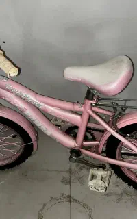 دوچرخه