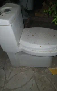 توالت فرنگی