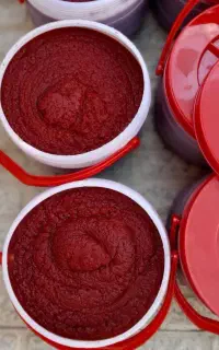 پرستاری و تمیز کاری خانه و مدارس و شرکت ها