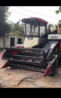 اجاره کمپاین برنج