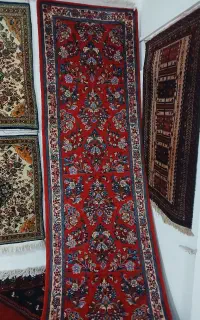 ساروق گل آمریکایی در حد نو