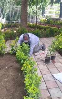 باغبانی وهرسکاری کوددهی بیل زنی مهر فاکتور ضمانت
