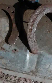 نعل اسب
