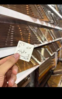 سنتور پیکاپدار (قابلیت اتصال به سیستم)