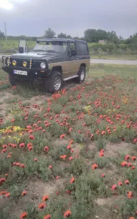 پاترول ۷۷ عالی تکسوز