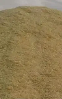 کا۰ جو