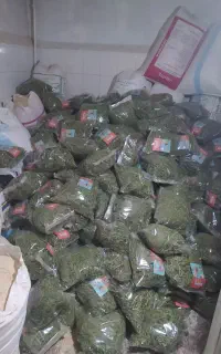 پوشال و یونجه درجه1