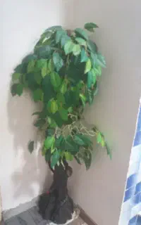 درختچه مصنوعی