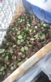 حلزون فروشی