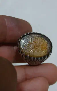 سیدحبیب