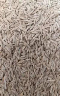 جو آبی تمیز