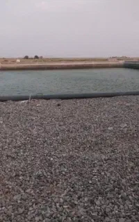 کارگر برای ابیاری قطره ای