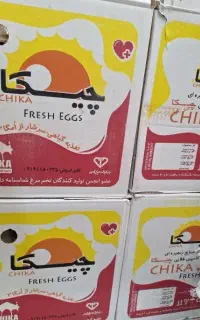 تخم مرغ با ارسال رایگان
