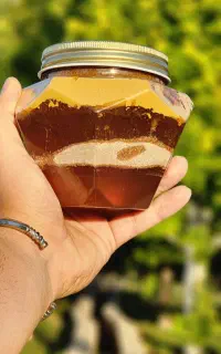 نعوظ بی میلی جنسی