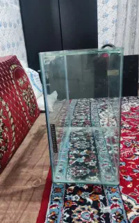 اکواریوم