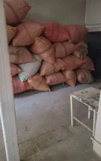 علف در ژاورو