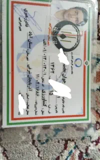 هرس کاری و خدمات باغبانی و پیوند زنی