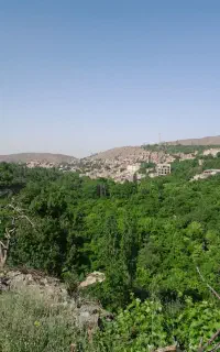 گورجه سبز