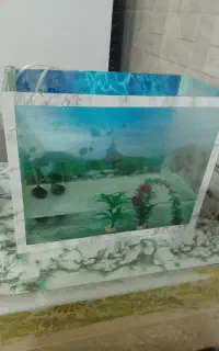 اکواریوم