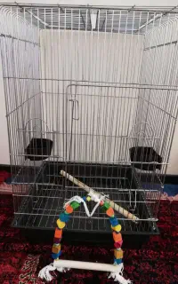 قفس بزرگ