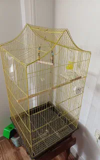 قفس بزرگ