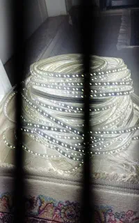 ریسه شلنگی ۵۰ متر