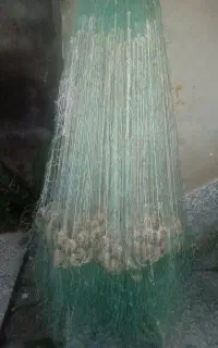 سالیک سیمی ۲۱ باز سالیک پره چشمه ۳