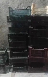 ۳۰ عدد سبد کوچک دونه ۸