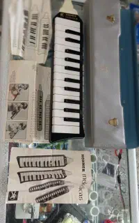 ملودیکا اصل المان