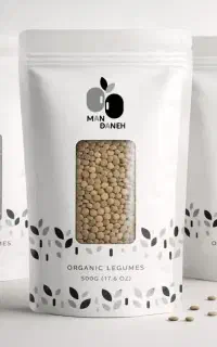 طراحی لوگوی حرفه ای با 70% تخفیف برای ۷ مشتری اول
