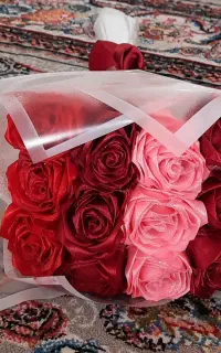 گل روبانی
