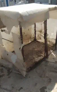لانه کفتر