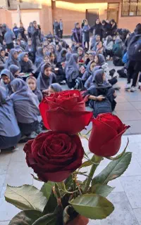 معلم خصوصی