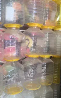 جای ترشی دبه