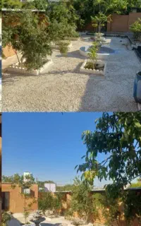 نیازمند باریستا
