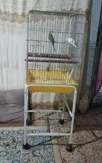 قفس پایه دار