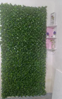 فنس برگی