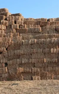 پرس ۸۰ سانتی