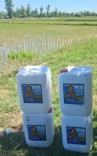 برداشت زمینت رو ۲ برابر کن