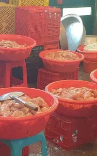 آشپزی