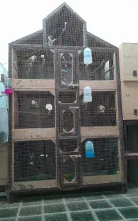 قفس بزرگ چوبی دست ساز ،