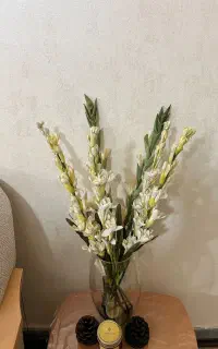 7تاشاخه گل مریم و گلایول بدون گلدان