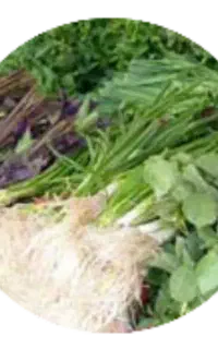 پاک کردن سبزی پذیررفته میشود