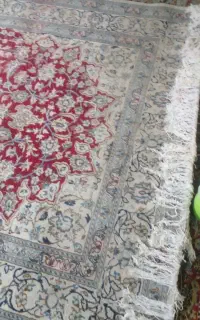 فرش دست بافت ۶ متری