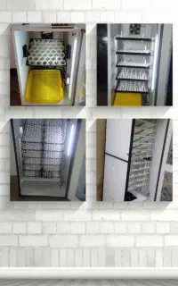 دستگاه جوجه کشی تمام اتوماتیک و هوشمند خانگی صنعتی