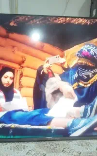 دوو در حد نو